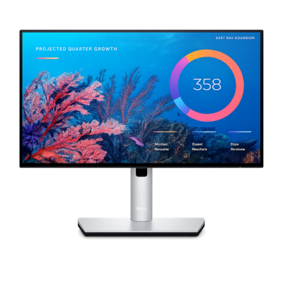 DELL U2422HE 24 Inch